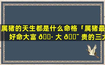 属猪的天生都是什么命格「属猪最好命大富 🕷 大 🐯 贵的三大出生日」